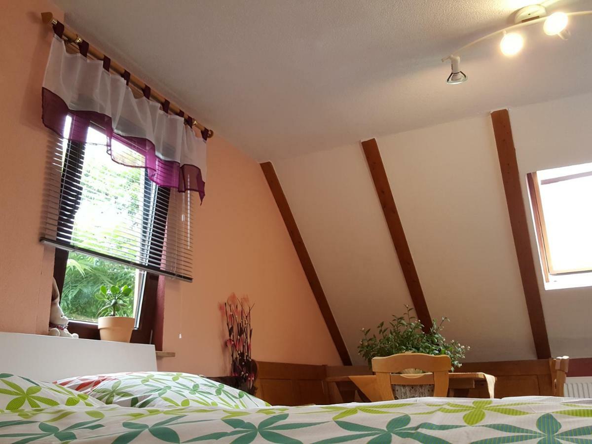 Ferienhaus Am Kirchberg Kurort Steinbach-Hallenberg Exteriér fotografie