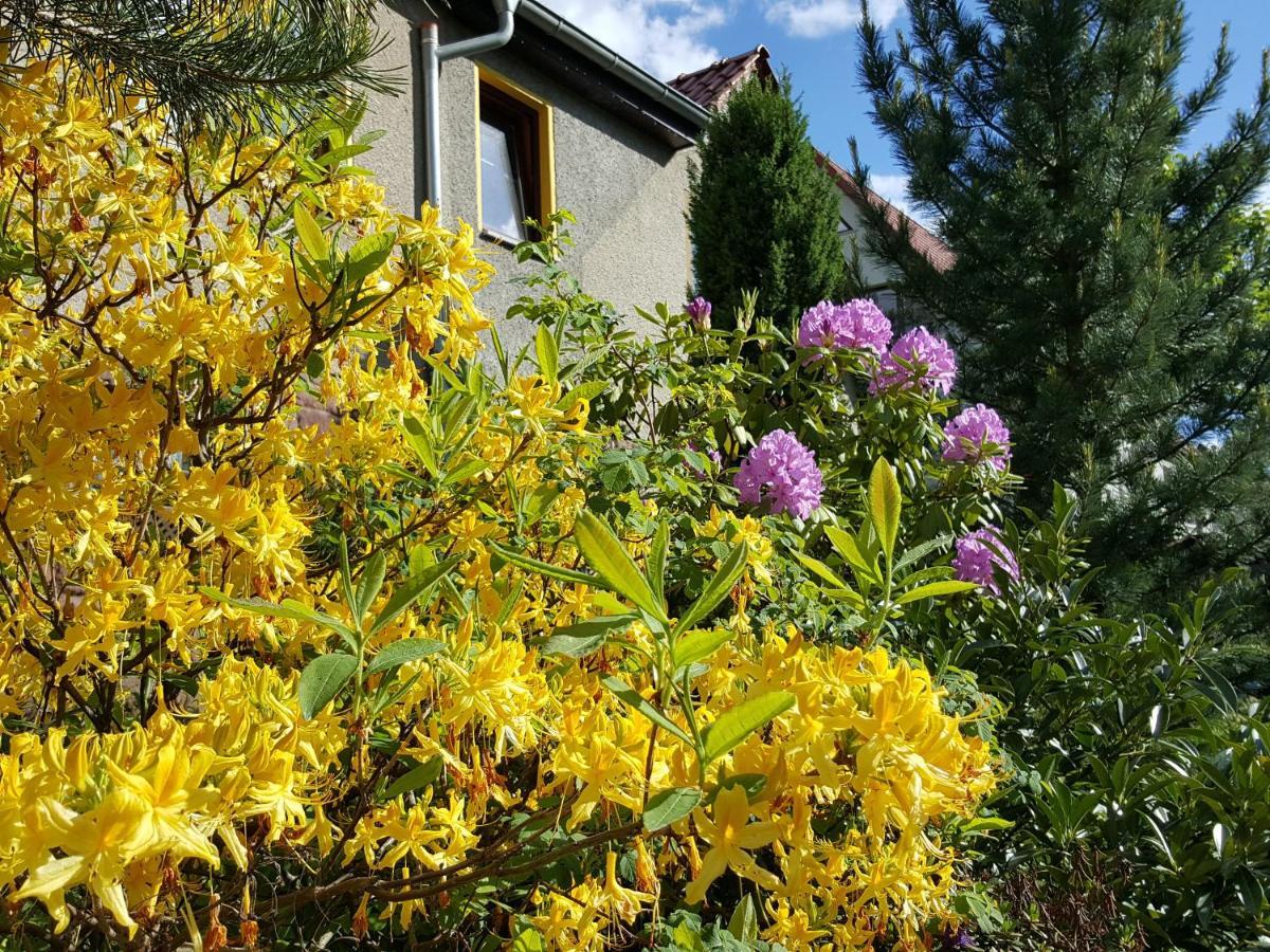 Ferienhaus Am Kirchberg Kurort Steinbach-Hallenberg Exteriér fotografie